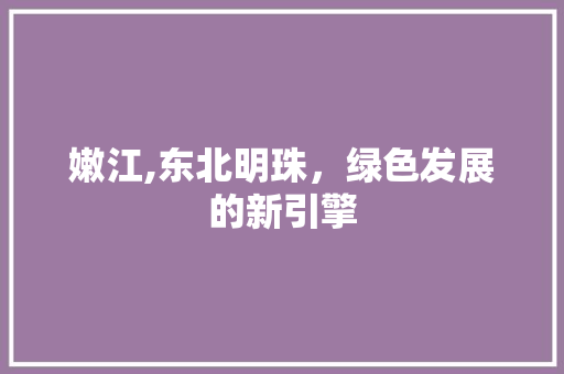 嫩江,东北明珠，绿色发展的新引擎 GoogleSEO