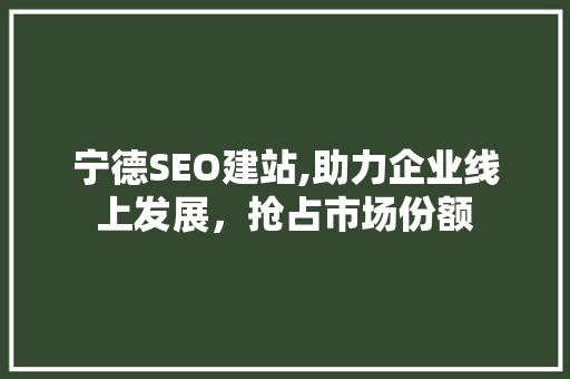 宁德SEO建站,助力企业线上发展，抢占市场份额 必应SEO
