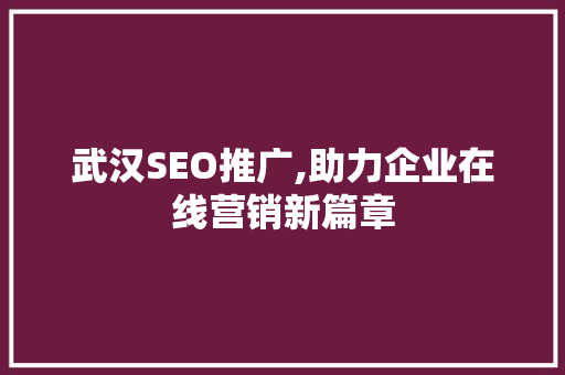 武汉SEO推广,助力企业在线营销新篇章 GoogleSEO