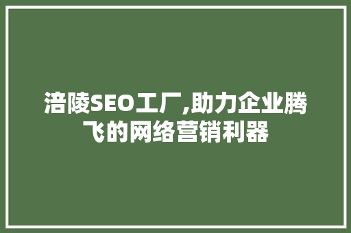涪陵SEO工厂,助力企业腾飞的网络营销利器 百度SEO