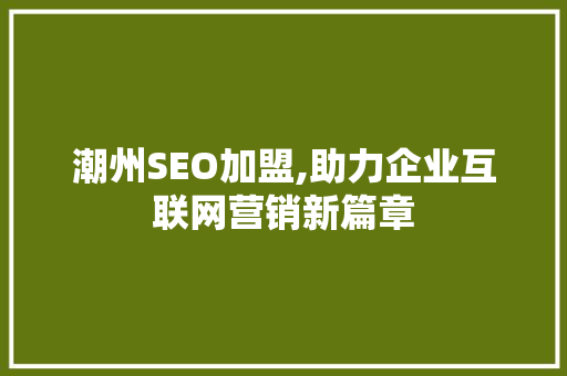 潮州SEO加盟,助力企业互联网营销新篇章 百度SEO