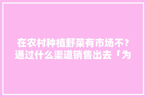 在农村种植野菜有市场不？通过什么渠道销售出去「为什么要从事网络销售工作」 在农村种植野菜有市场不？通过什么渠道销售出去「为什么要从事网络销售工作」 搜狗SEO