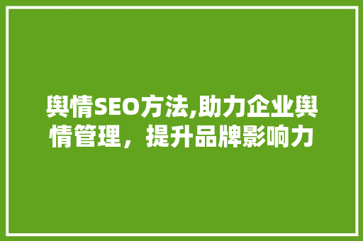 舆情SEO方法,助力企业舆情管理，提升品牌影响力 GoogleSEO