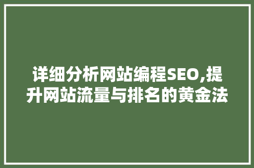 详细分析网站编程SEO,提升网站流量与排名的黄金法则 GoogleSEO