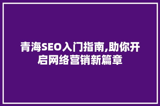 青海SEO入门指南,助你开启网络营销新篇章 神马SEO