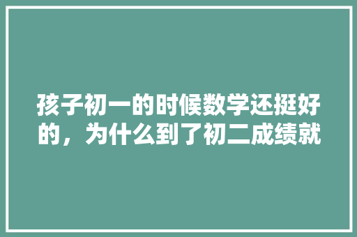 孩子初一的时候数学还挺好的，为什么到了初二成绩就大幅下降了呢「为什么初一数学题那么难做」 孩子初一的时候数学还挺好的，为什么到了初二成绩就大幅下降了呢「为什么初一数学题那么难做」 GoogleSEO