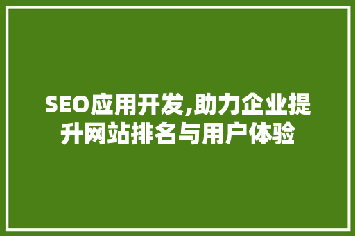 SEO应用开发,助力企业提升网站排名与用户体验 神马SEO