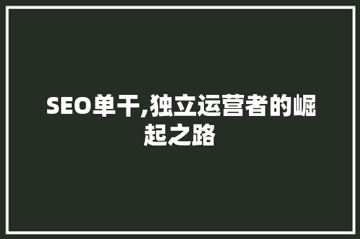 SEO单干,独立运营者的崛起之路 神马SEO