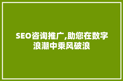 SEO咨询推广,助您在数字浪潮中乘风破浪
