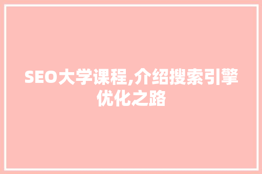 SEO大学课程,介绍搜索引擎优化之路