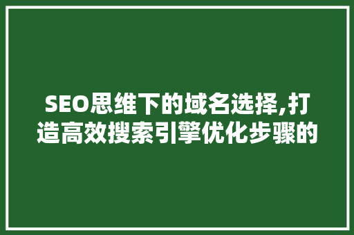 SEO思维下的域名选择,打造高效搜索引擎优化步骤的关键 百度SEO