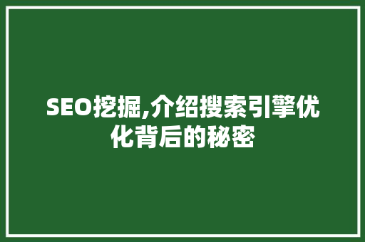 SEO挖掘,介绍搜索引擎优化背后的秘密 百度SEO