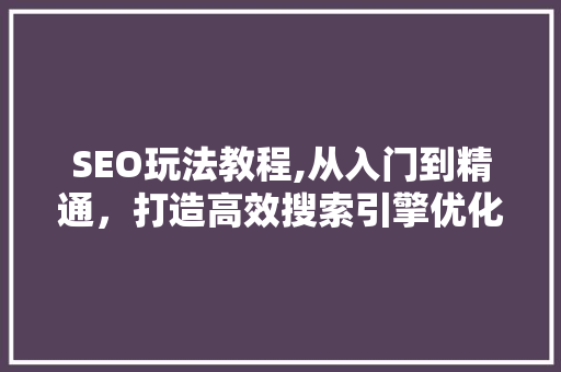 SEO玩法教程,从入门到精通，打造高效搜索引擎优化步骤 搜狗SEO