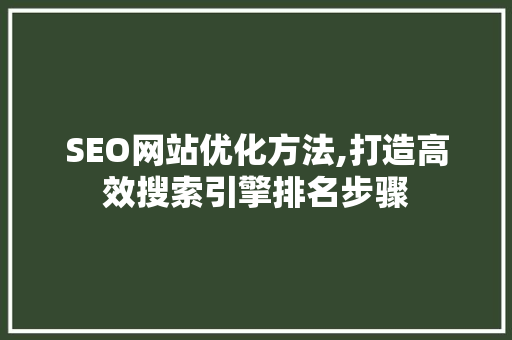 SEO网站优化方法,打造高效搜索引擎排名步骤