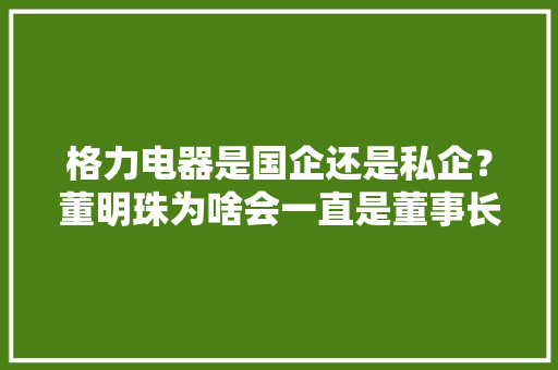 格力电器是国企还是私企？董明珠为啥会一直是董事长呢「珠海为什么这么少人」 格力电器是国企还是私企？董明珠为啥会一直是董事长呢「珠海为什么这么少人」 神马SEO