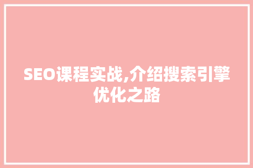 SEO课程实战,介绍搜索引擎优化之路 GoogleSEO