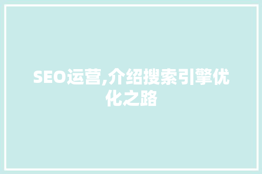 SEO运营,介绍搜索引擎优化之路