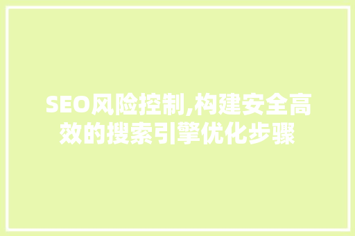 SEO风险控制,构建安全高效的搜索引擎优化步骤