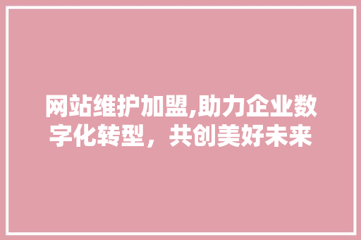 网站维护加盟,助力企业数字化转型，共创美好未来 必应SEO