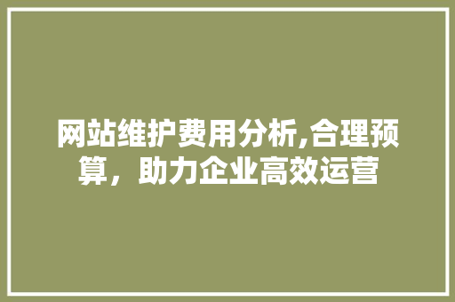 网站维护费用分析,合理预算，助力企业高效运营 百度SEO