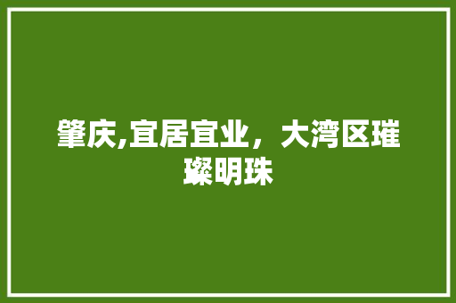 肇庆,宜居宜业，大湾区璀璨明珠 百度SEO