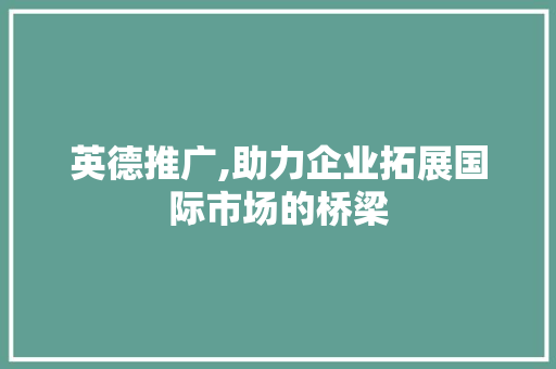 英德推广,助力企业拓展国际市场的桥梁 搜狗SEO