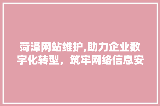 菏泽网站维护,助力企业数字化转型，筑牢网络信息安全防线 必应SEO