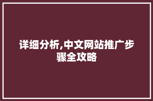 详细分析,中文网站推广步骤全攻略 GoogleSEO