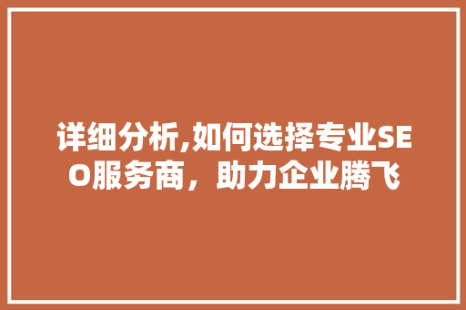 详细分析,如何选择专业SEO服务商，助力企业腾飞 搜狗SEO
