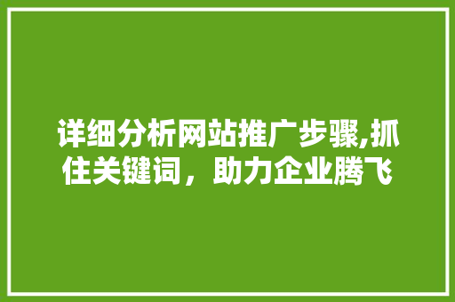 详细分析网站推广步骤,抓住关键词，助力企业腾飞 神马SEO