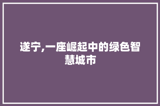 遂宁,一座崛起中的绿色智慧城市 必应SEO