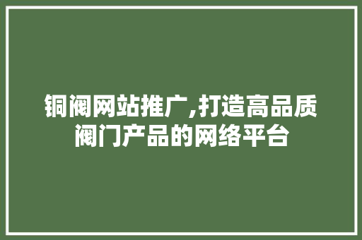 铜阀网站推广,打造高品质阀门产品的网络平台 GoogleSEO