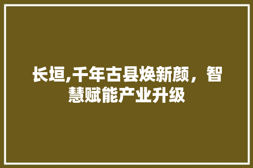 长垣,千年古县焕新颜，智慧赋能产业升级 神马SEO