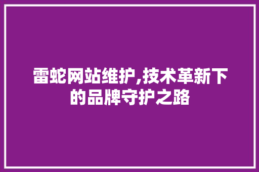 雷蛇网站维护,技术革新下的品牌守护之路 百度SEO