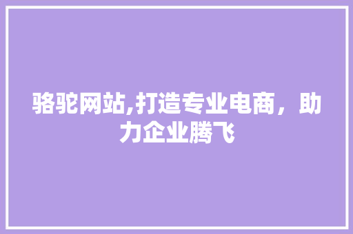 骆驼网站,打造专业电商，助力企业腾飞 神马SEO