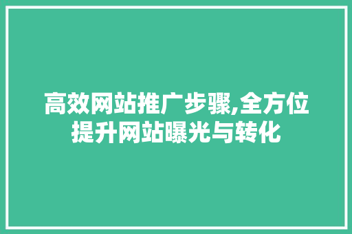 高效网站推广步骤,全方位提升网站曝光与转化