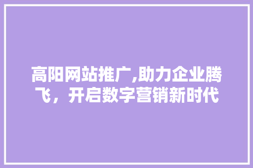 高阳网站推广,助力企业腾飞，开启数字营销新时代 必应SEO