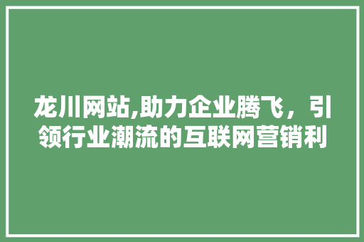 龙川网站,助力企业腾飞，引领行业潮流的互联网营销利器 百度SEO