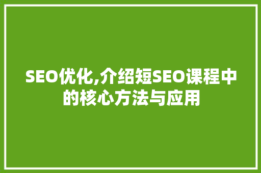 SEO优化,介绍短SEO课程中的核心方法与应用 神马SEO