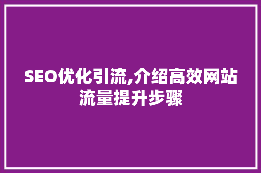 SEO优化引流,介绍高效网站流量提升步骤 神马SEO