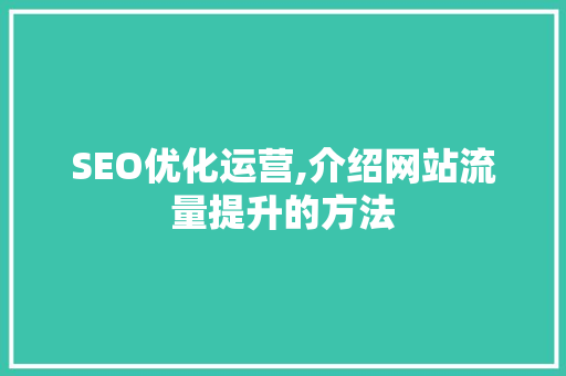 SEO优化运营,介绍网站流量提升的方法 神马SEO