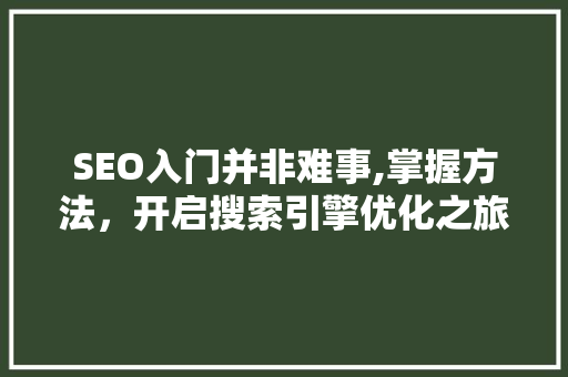 SEO入门并非难事,掌握方法，开启搜索引擎优化之旅 必应SEO