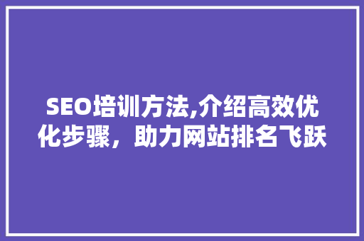 SEO培训方法,介绍高效优化步骤，助力网站排名飞跃 百度SEO