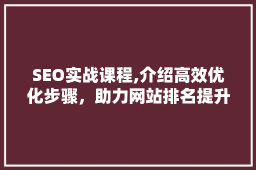SEO实战课程,介绍高效优化步骤，助力网站排名提升 神马SEO