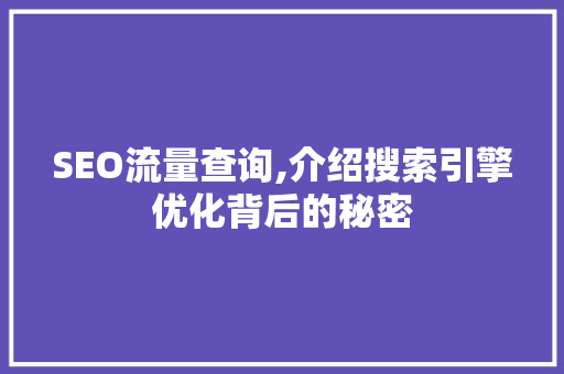 SEO流量查询,介绍搜索引擎优化背后的秘密