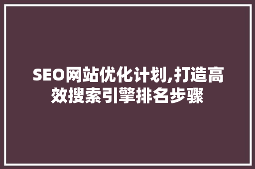 SEO网站优化计划,打造高效搜索引擎排名步骤 百度SEO