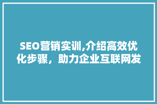 SEO营销实训,介绍高效优化步骤，助力企业互联网发展 必应SEO