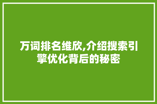 万词排名维欣,介绍搜索引擎优化背后的秘密 必应SEO