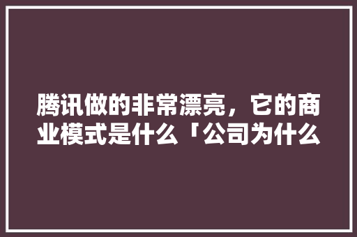 腾讯做的非常漂亮，它的商业模式是什么「公司为什么做网站运营」 腾讯做的非常漂亮，它的商业模式是什么「公司为什么做网站运营」 神马SEO