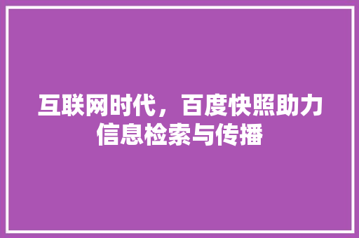 互联网时代，百度快照助力信息检索与传播 搜狗SEO